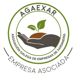 agaexar logotipo
