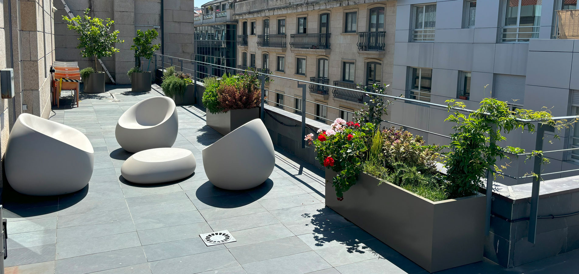 Decoración vegetal de interior y de las terrazas en Agencia Europea de la Pesca