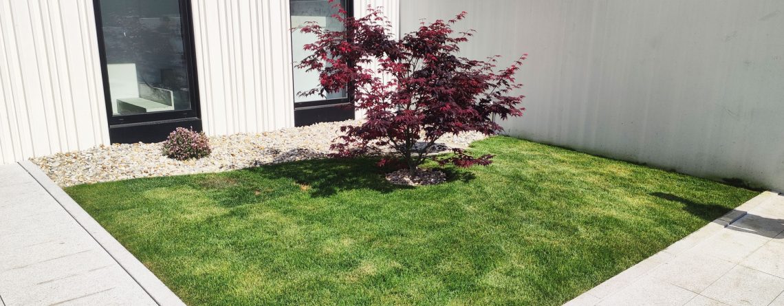 diseño y jardin corporativo en empresa de mos