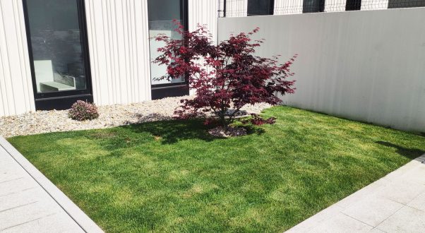 diseño y jardin corporativo en empresa de mos