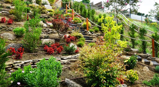 diseño y montaje de jardin vivienda unifamiliar en cangas morrazo