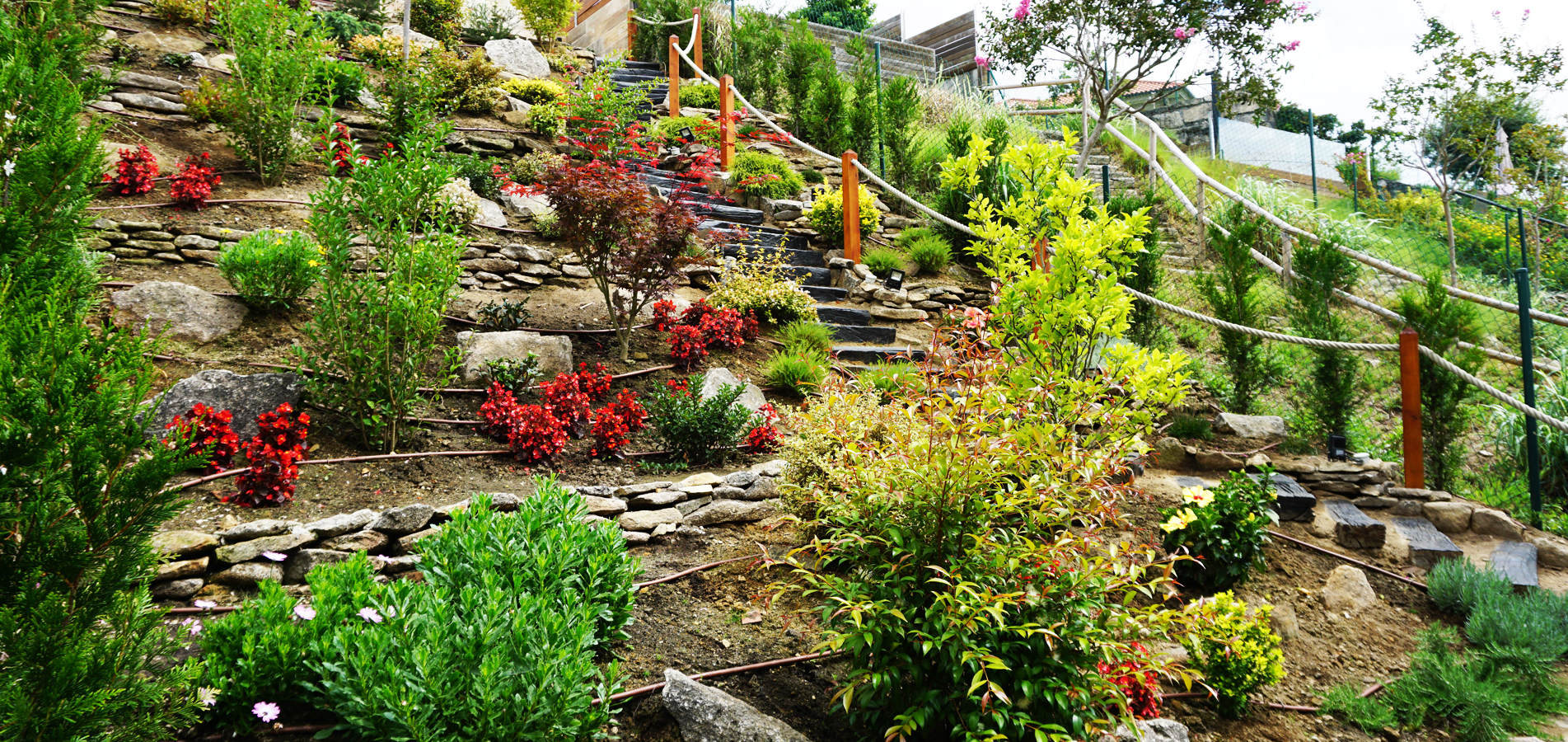 diseño y montaje de jardin vivienda unifamiliar en cangas morrazo