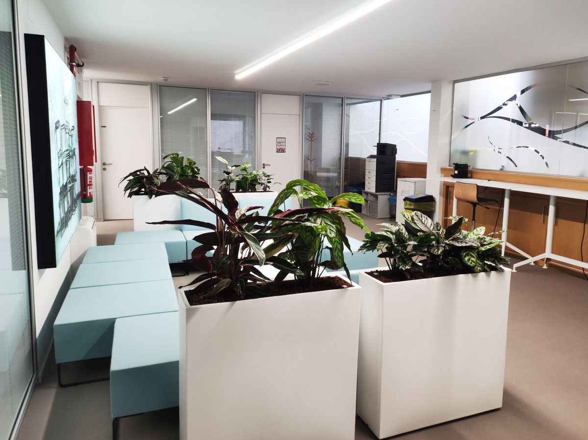 jardineros en vigo para decoracion interior de oficinas y empresas jardineros en vigo para decoracion interior de oficinas y empresas