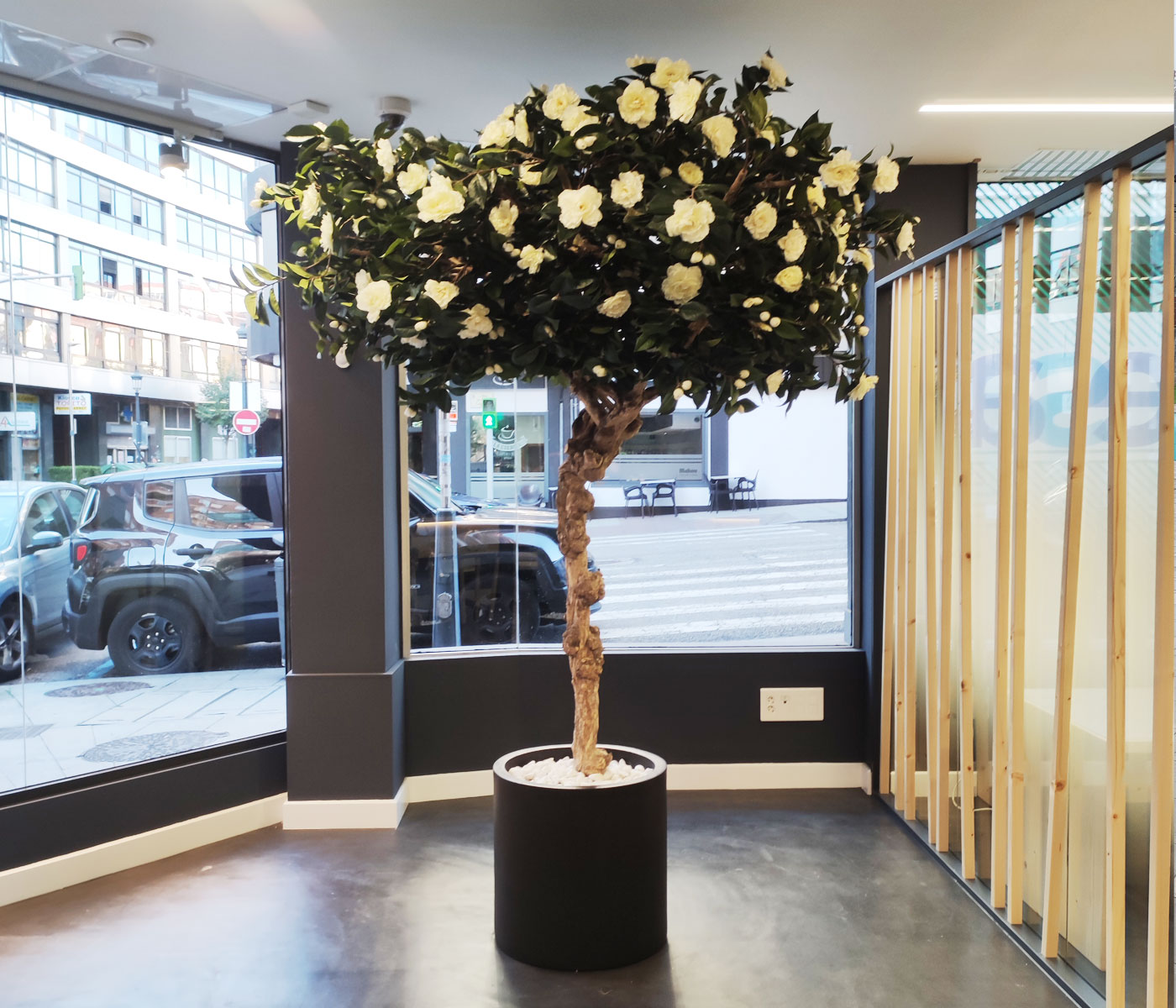 Decoración vegetal de interior en local comercial en Vigo Decoración vegetal de interior en local comercial en Vigo