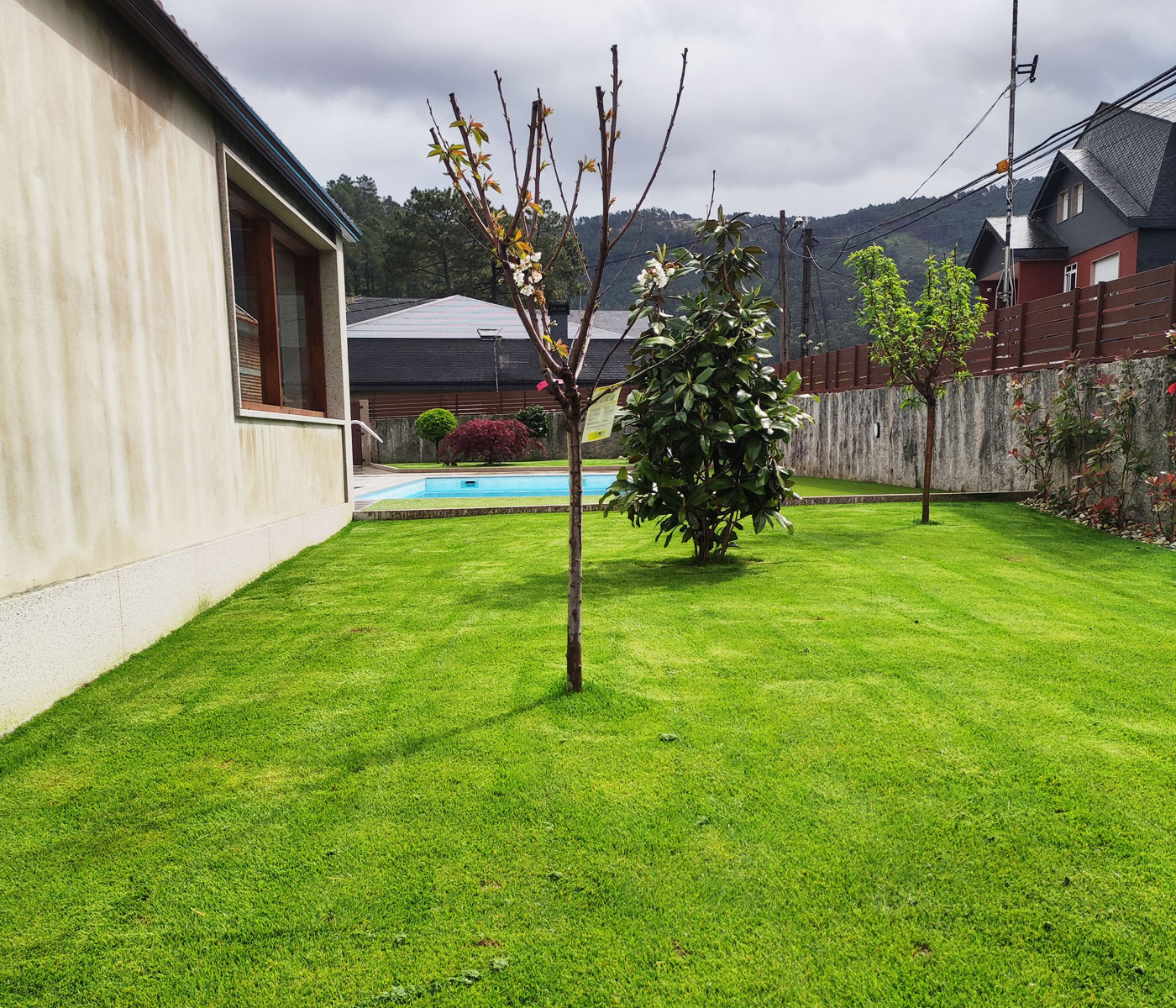 diseño y construccion jardin en vivienda unifamiliar en porriño diseño y construccion jardin en vivienda unifamiliar en porriño